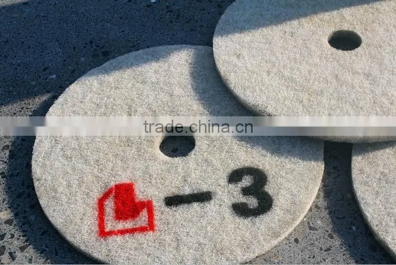 Concrete Floor Grinders With Concrete Pad