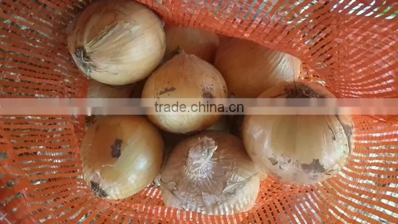 2015 crop fresh yellow onion supplier from China