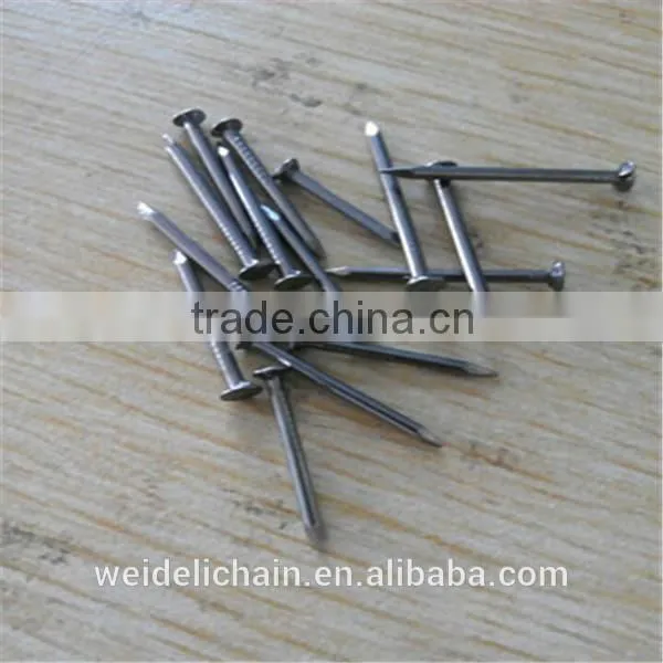 Construction Wire Nails Supplier/Wire Nail Price