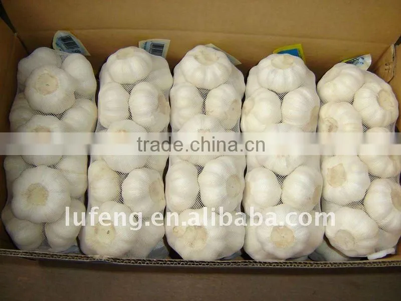 White Garlic