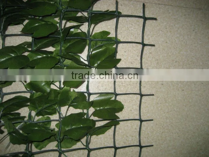 Plastic Meshes,plastic garden mesh