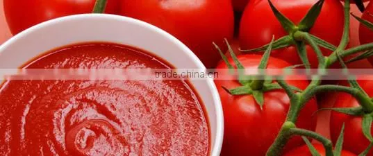 Manufacturer of semi-automatic tomato paste filling machine