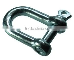 Stainless steel SUS 304/316/316L European type D Shackle
