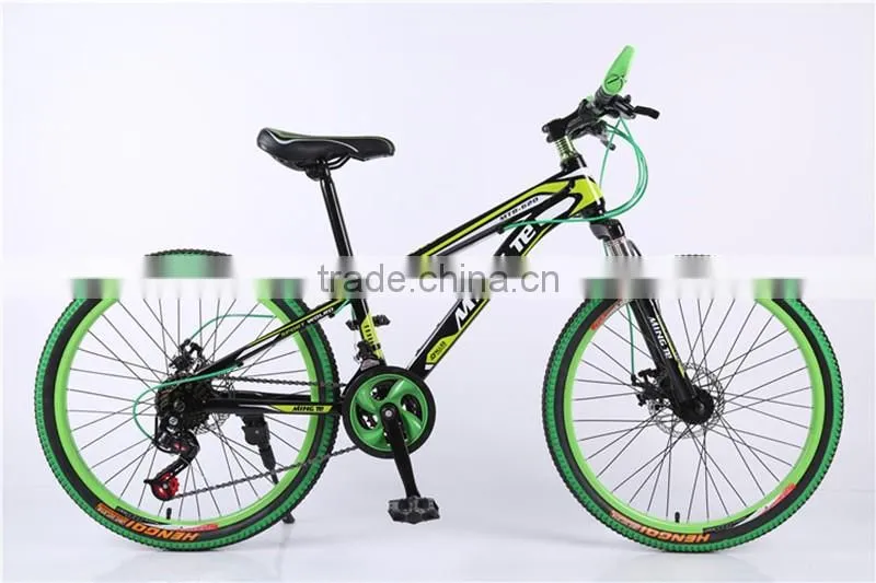 24-inch mountain bike 21 speed dual disc brakes mountain bike