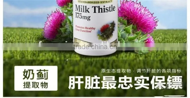 Water Soluble Organic 30%-98% Silymarin