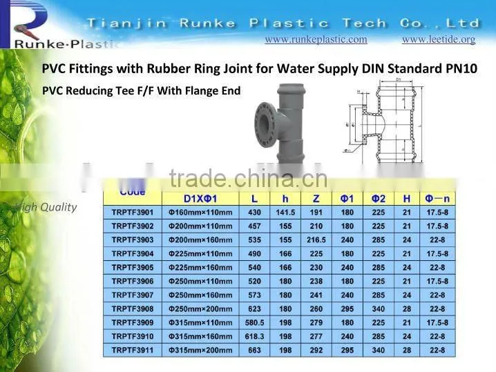 Pipe Fitting Reducer Bushing DIN Standard PN10