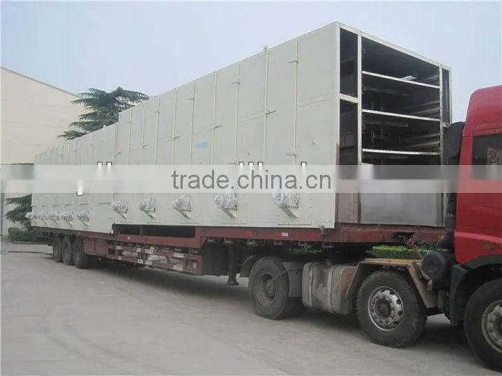 DW Series mesh belt dryer used in orange peel