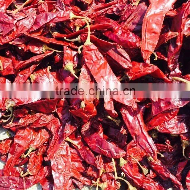 dried chilli