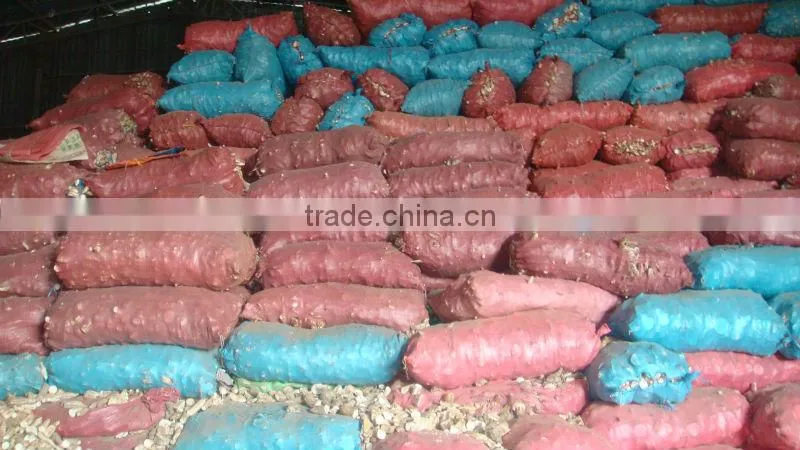 Tapioca chips