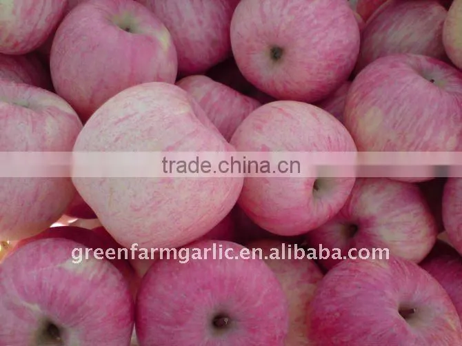 2014 new fuji apple