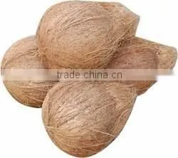 Brown coconuts for UK market