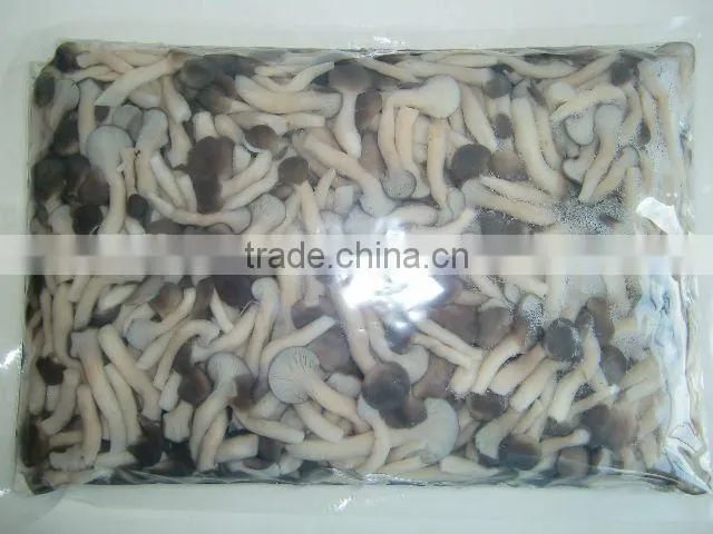 Vacuum boiled fresh eryngii mushroom in bags