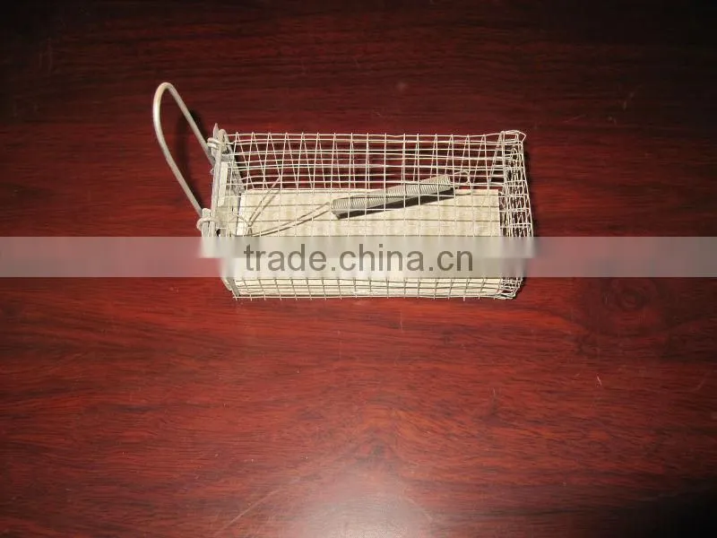 Cheap Galvanized Steel Mouse Trap Cage