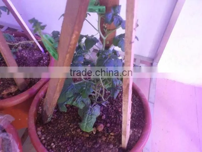 Module Design Timer 216W LED Grow Lamp/Dimmable Lighting Led