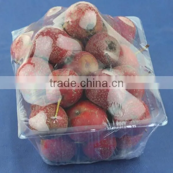 2016 clamshell clear blister punnet packaging for fruit