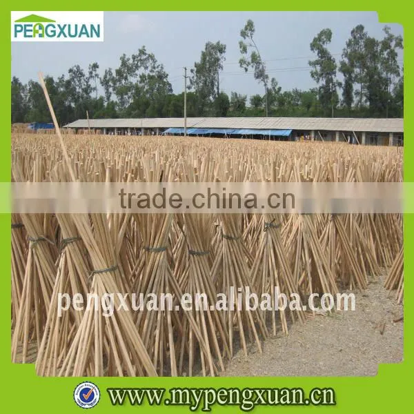 Garden Stake Tools Handle for Hoe