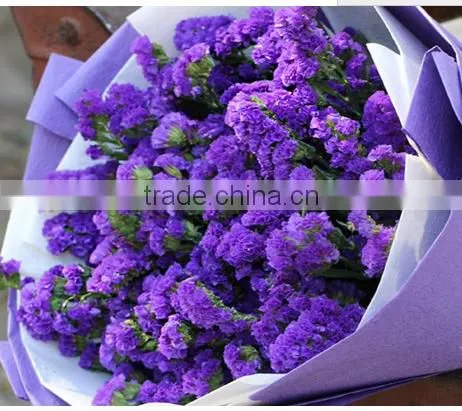 Fresh cut statice good quality cut flower myosotis from Kunming