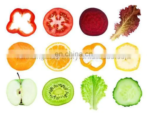 Home Manual Vegetable Cabbage Onion Cutter Slicer