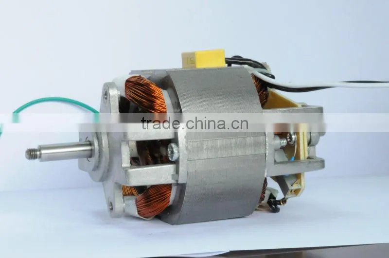Direct manufacturer of single phase AC motor