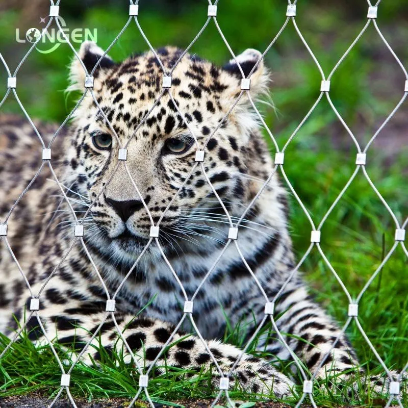 Wild Leopard Fence