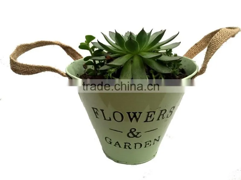 home garden, plant pots, gardening pots