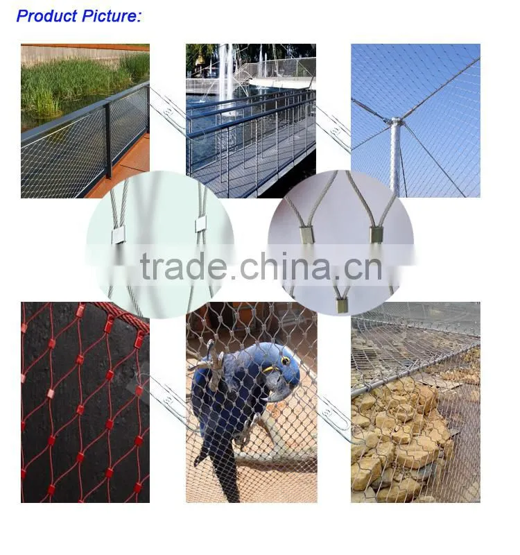 wire rope mesh/stainless steel wire rope mesh