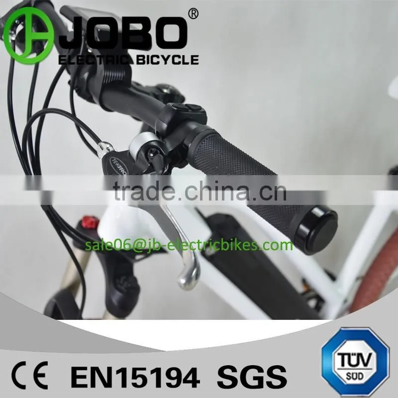 36 Volt 350 Watt Brushless Electric MTB Bike For Sale (JB-TDE23Z)