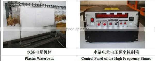 poultry killing and bleeding line
