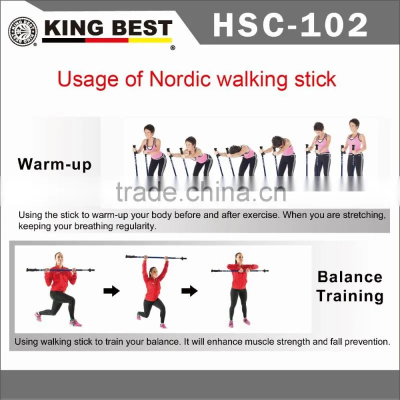 KING BEST Wholesale Carbon trekking pole 2-SECTION Hiking Pole nordic walking stick