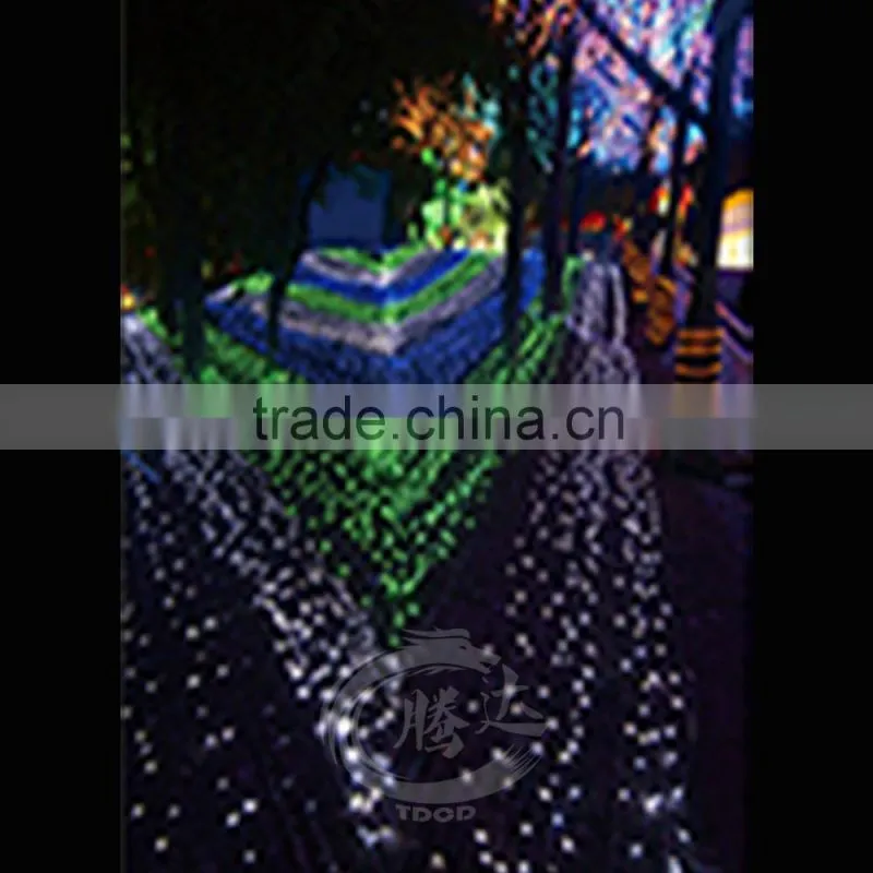 Christmas forest trail lantern lighting