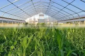 plastic film sealer