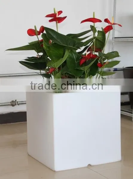 Project best choose large size plastic plant pots,large plastic tree pots