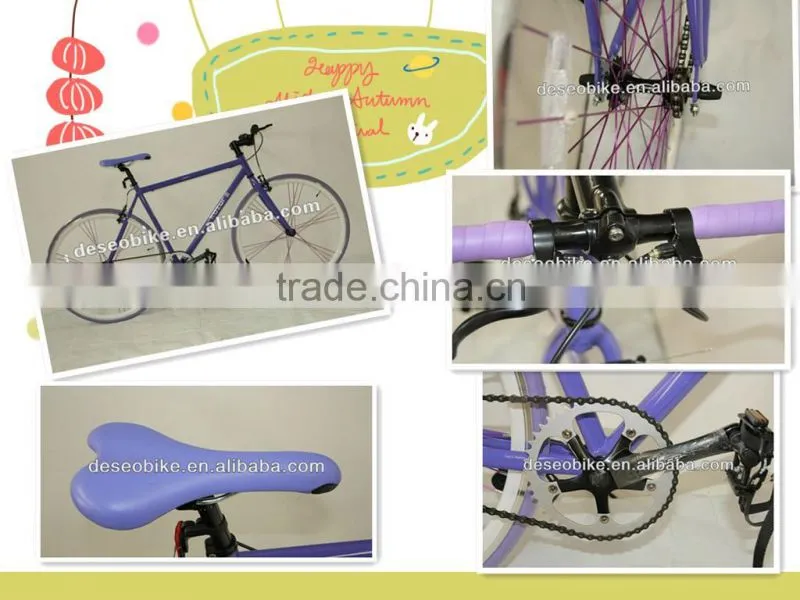 Fixed Gear Bike