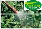 Neem Liquid Fertilizer