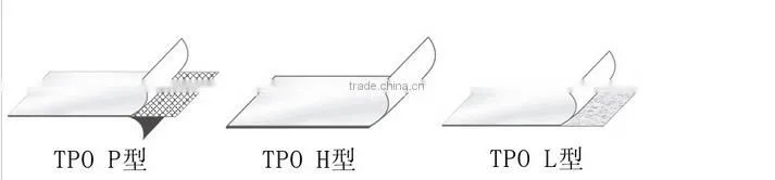 Metal roof TPO waterproofing membrane