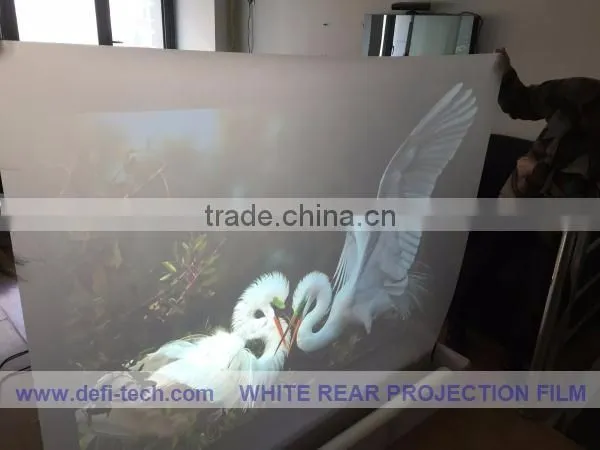 Hot sale!transparent transparent holographic foil for film