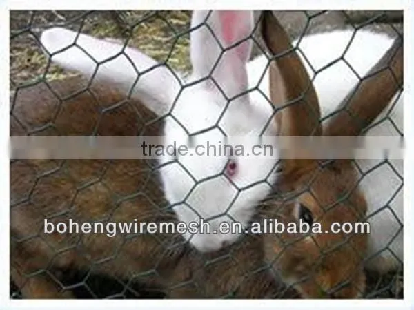 Boheng Hexagonal wire mesh for poultry fence
