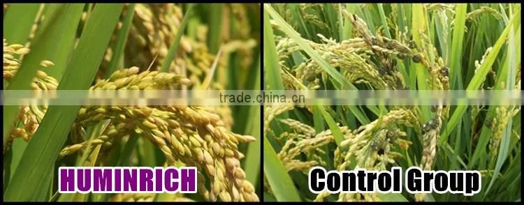 Huminrich Shenyang Organic 70% Leonardite Humic Acid Controlled Slow Release Prill Fertilizer For Saline Soil