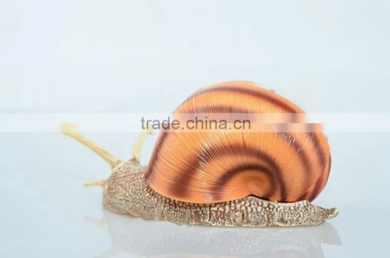 V-AM055 4D MASTER Snail specimens anatomical model