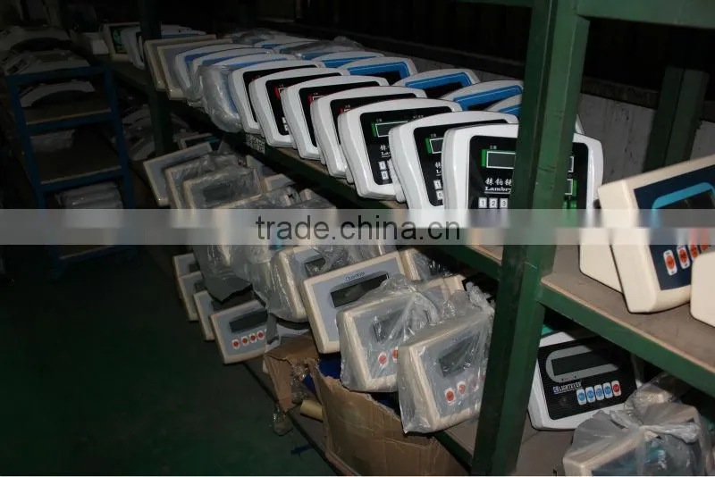 Weighing Counting Scale