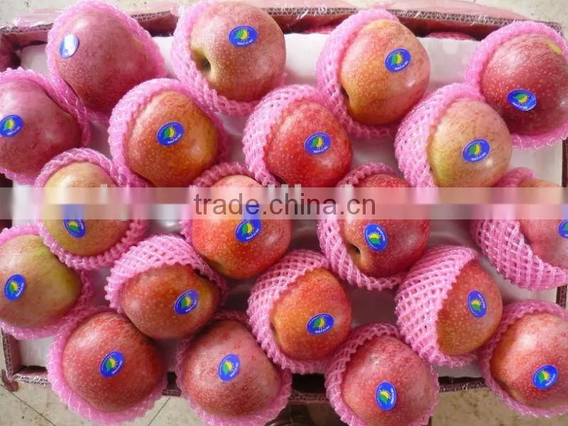 qinguan apple