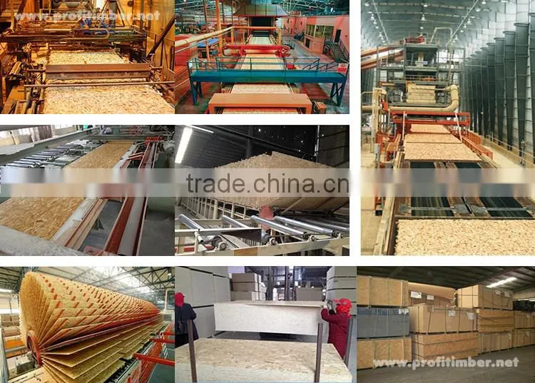 Raw Cheap Furniture Grade OSB1 OSB2 OSB3 OSB4