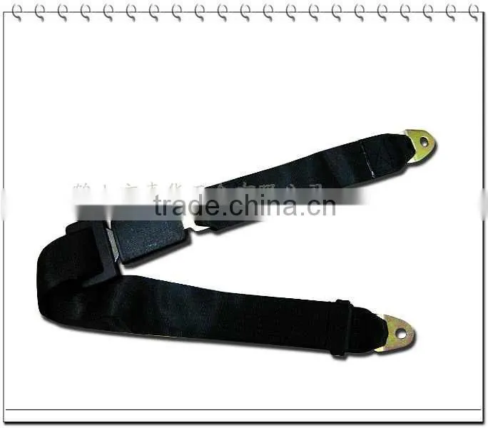 Simple 2-point seat belt