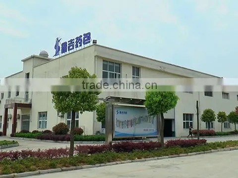 Hubei Xinji Pharmaceutical Packaging Co., Ltd. company overview - view 1