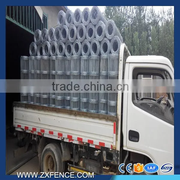 Factory direct cheap heavy duty sheep fence,horse fence,cattle fence