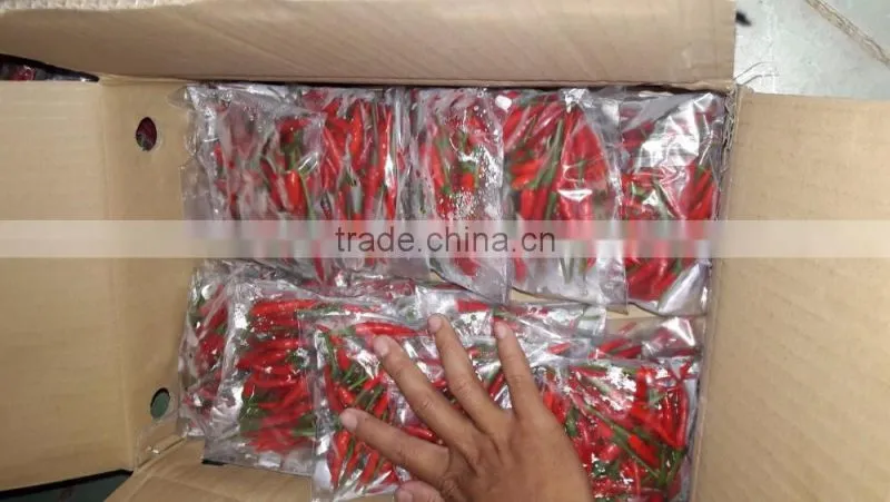 HOT PEPPER, CHILLI +84963818434 whatsapp