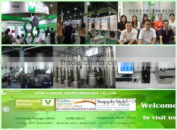 Echinacea Purpurea Extract echinacea purpurea extract in bulk