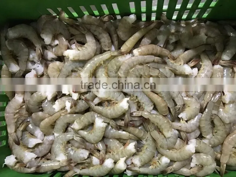 Top quality seafood headless vannamei shrimp