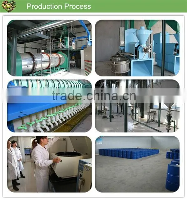 High quality Camellia seed oil physical cold pressed nutrition and health