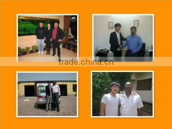 Export standard chicken poultry layer cage